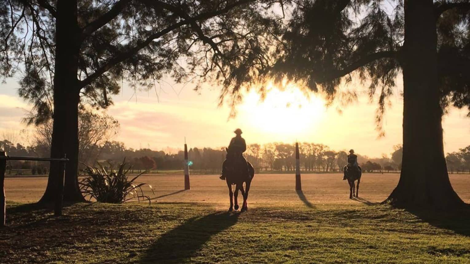 Two polo players ride their horses through a groove of trees as the sun sets behind them.