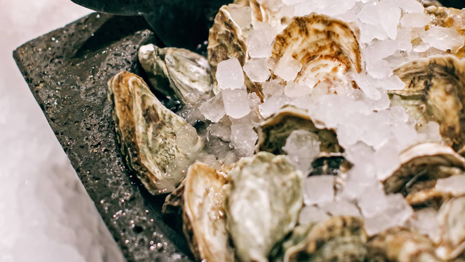 Oysters in ice in a black serving tray.
