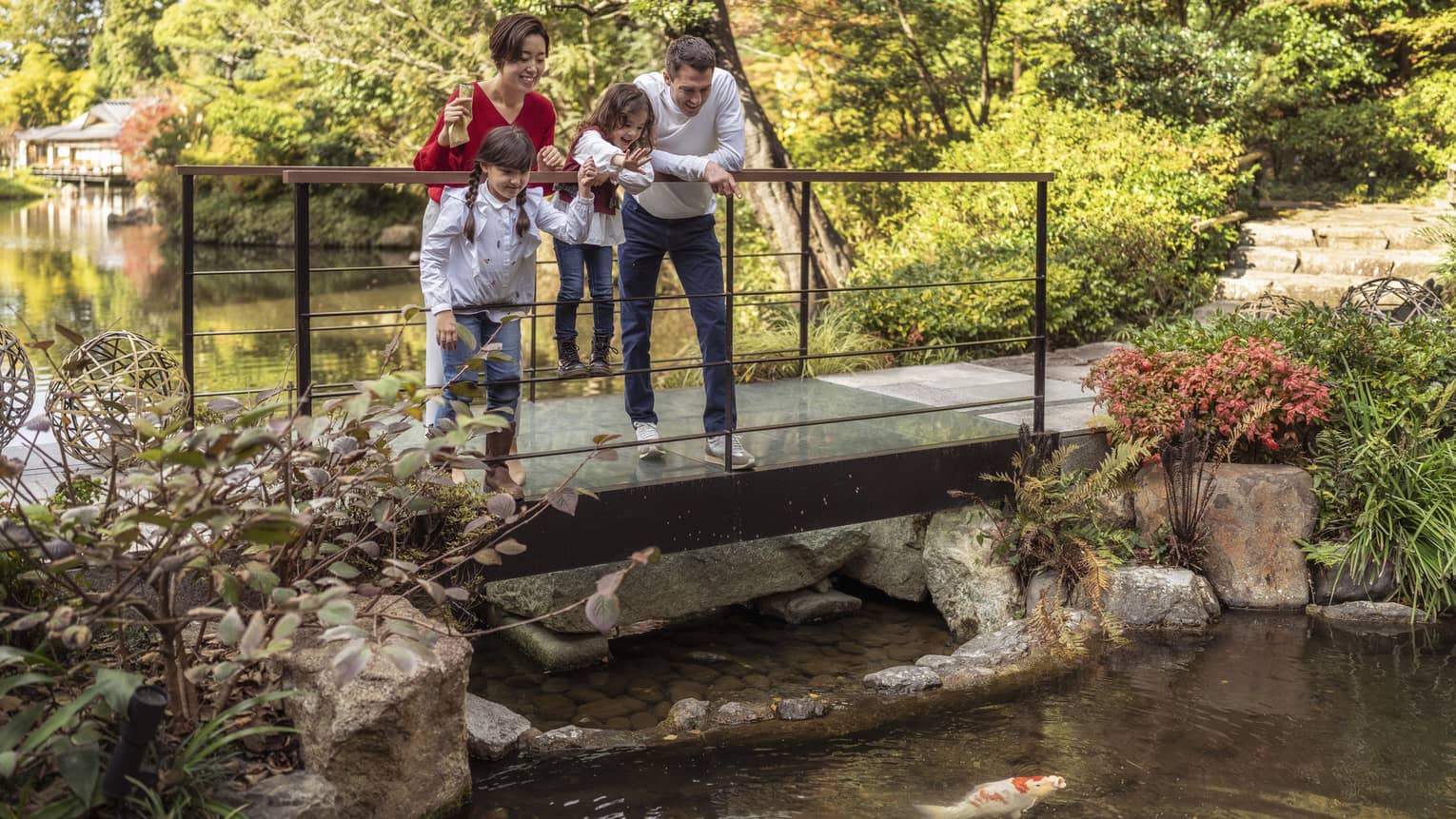 Parents and young son and daughter feed koi fish on foot bridge over pond