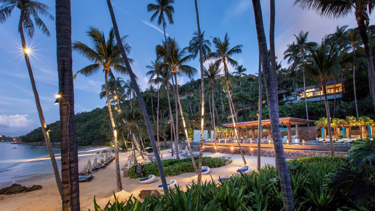 Tall palm trees, lounge chairs on white sand beach in front of CoCoRum bar at night
