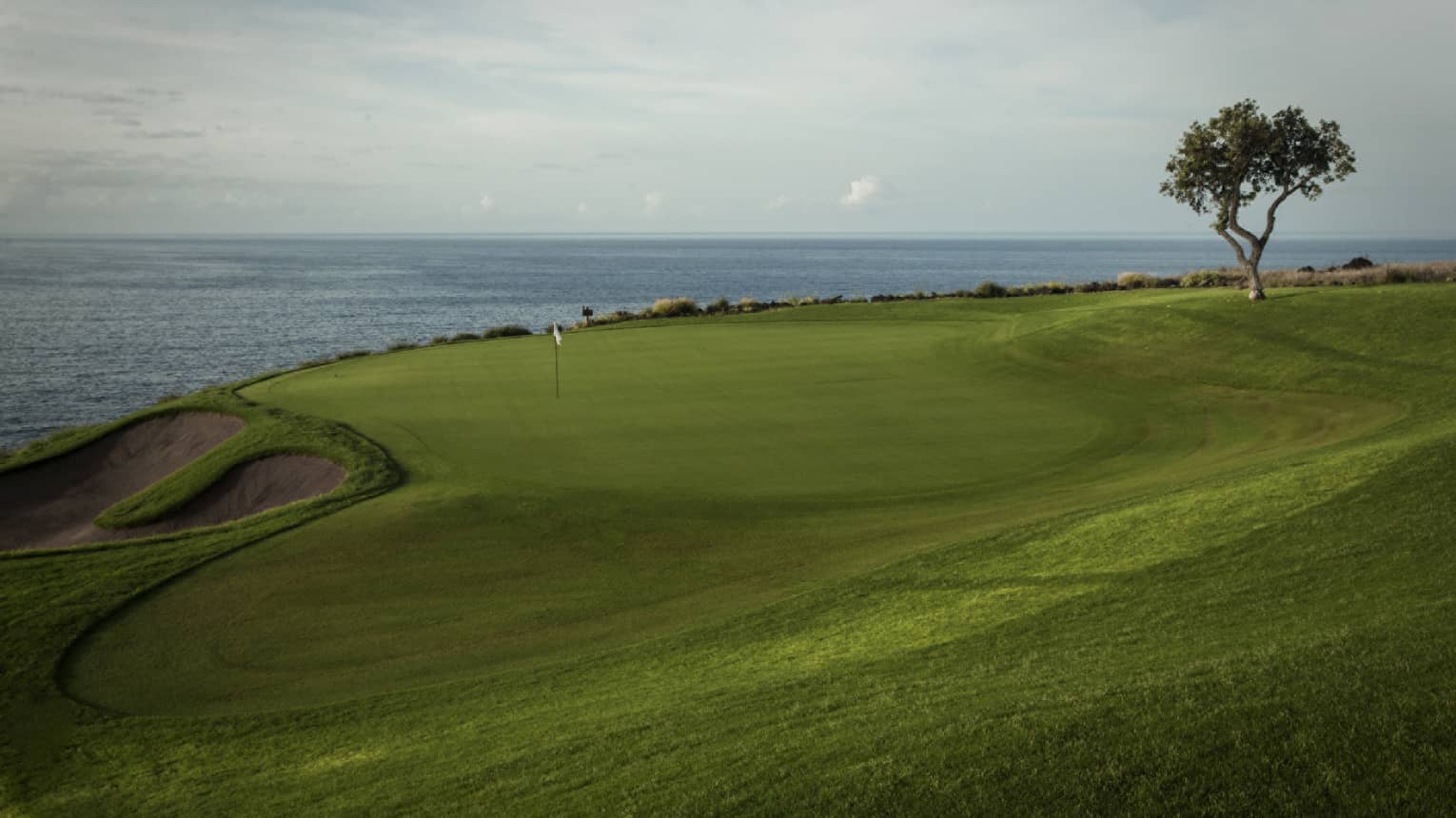 Swirly-shaped golf green with white flag, sandy bunker to the left, lone tree to the right, slate-blue ocean in the distance.
