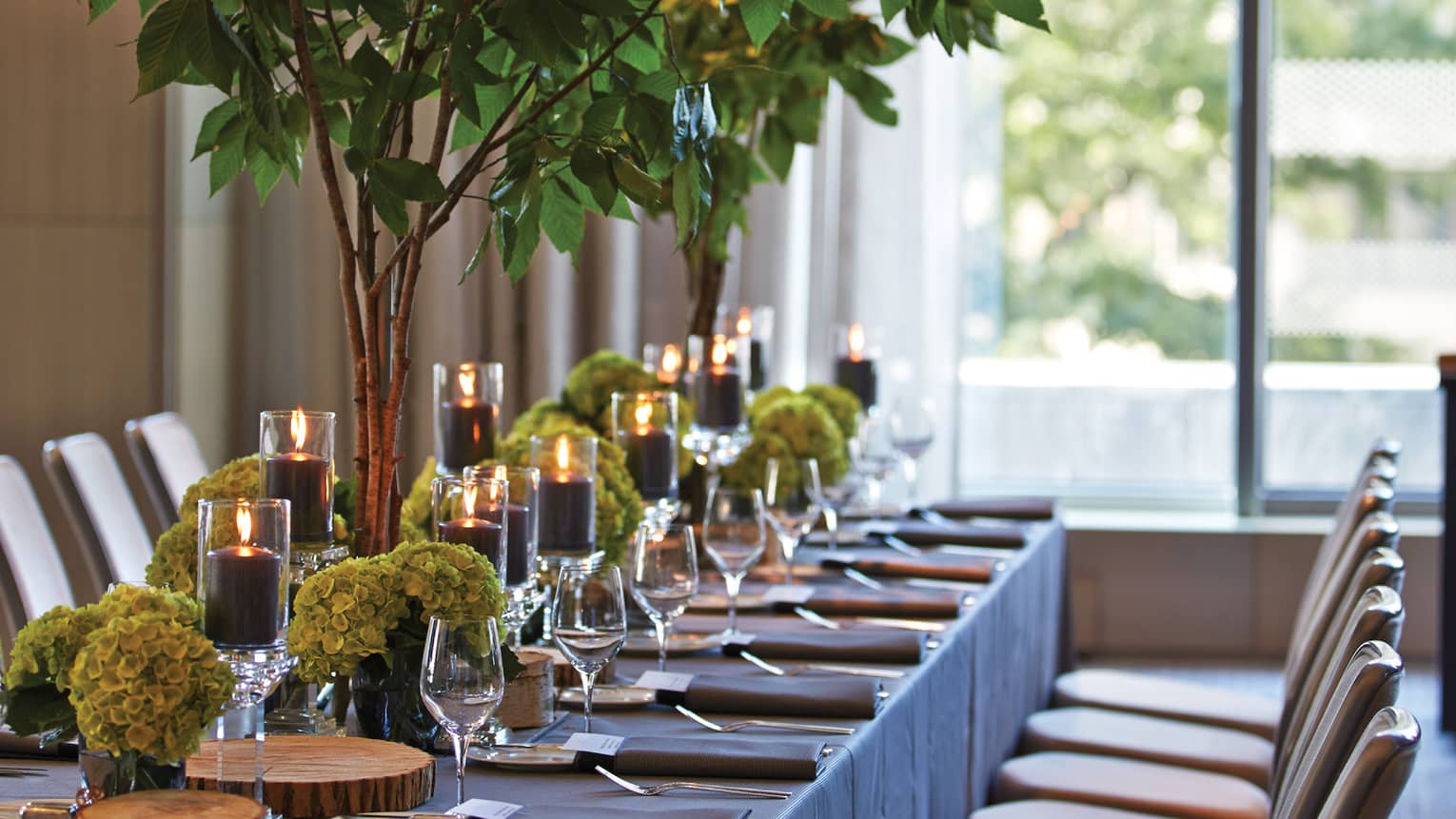Close-up of long dining table with black candles, tree centrepiece by sunny window