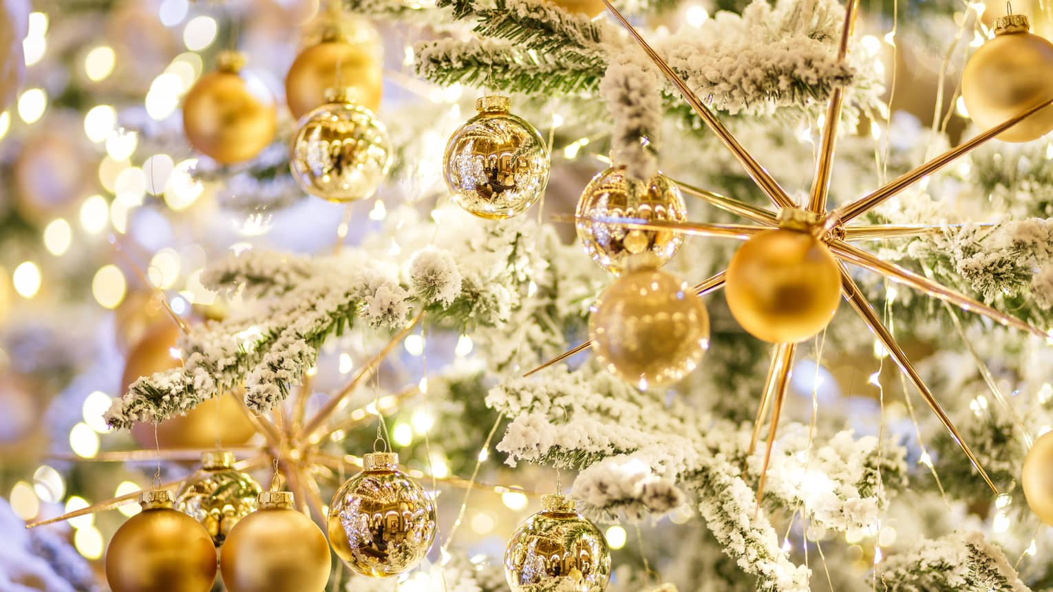 Several golden ornaments on a snow covered Christmas tree.