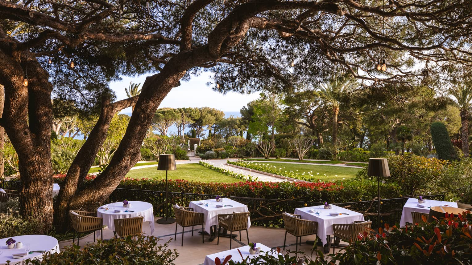 Outdoor fine dining with a garden view