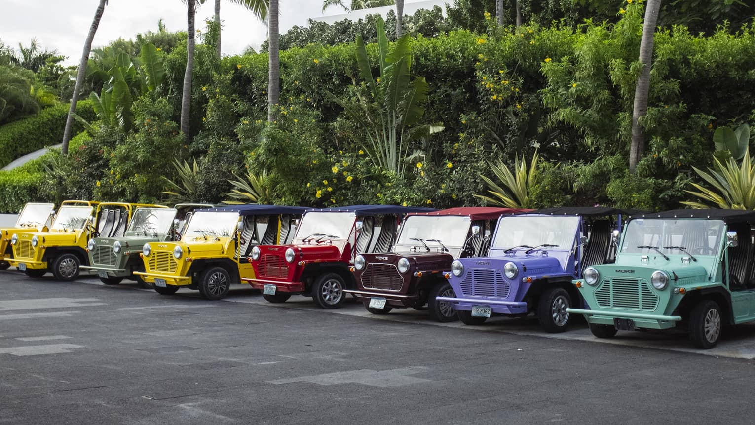 A row of brightly coloured canvas-roofed Mokes, recreational open-air cars, parked beside a swath of tropical greenery.