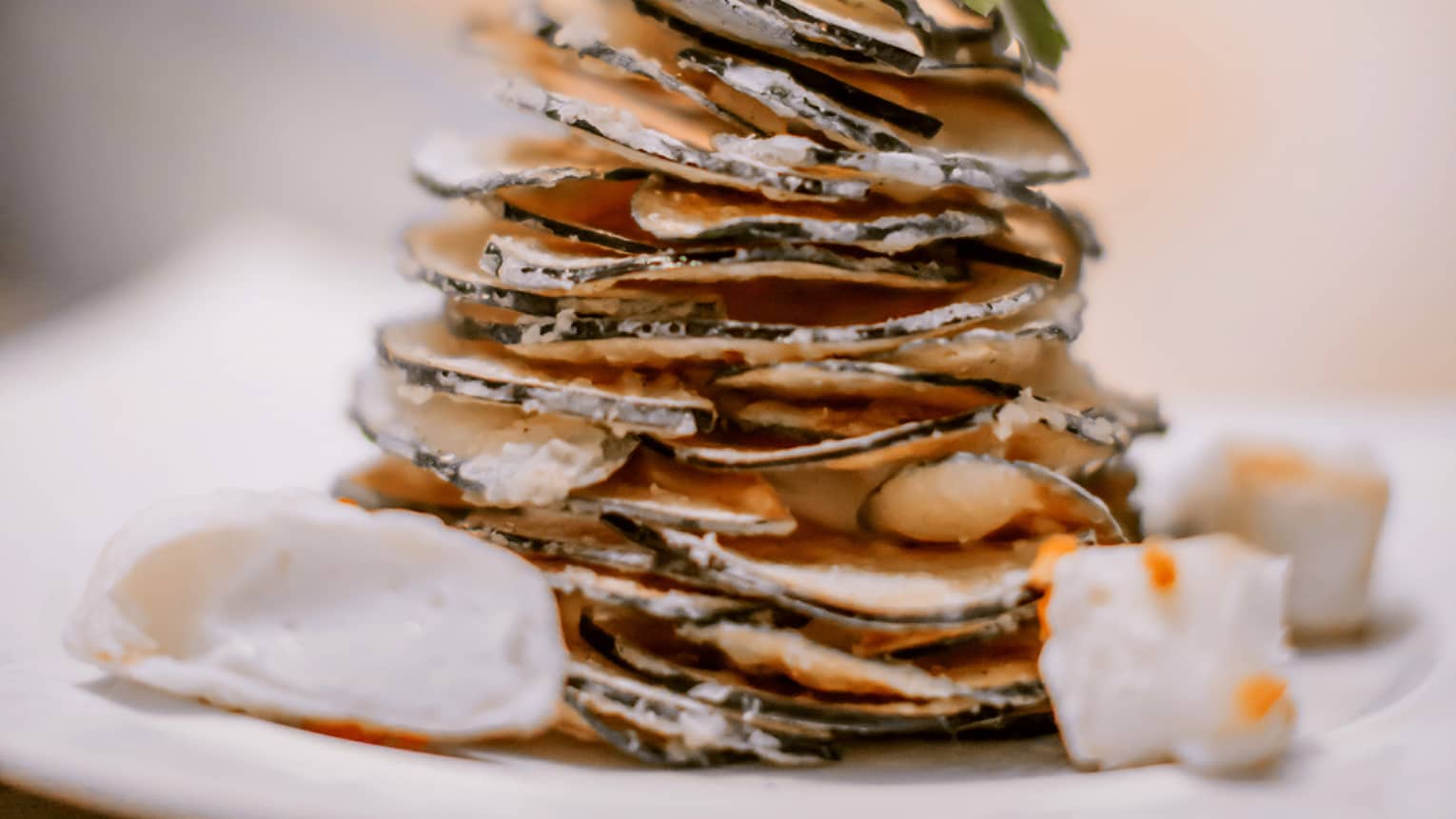 Tower of lightly fried zucchini and eggplant with kefalograviera cheese and tzatziki