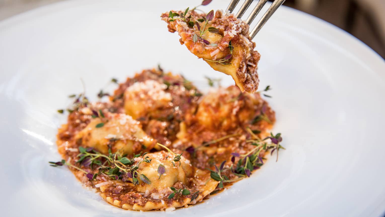 Fork lifts piece of gourmet pasta over dish