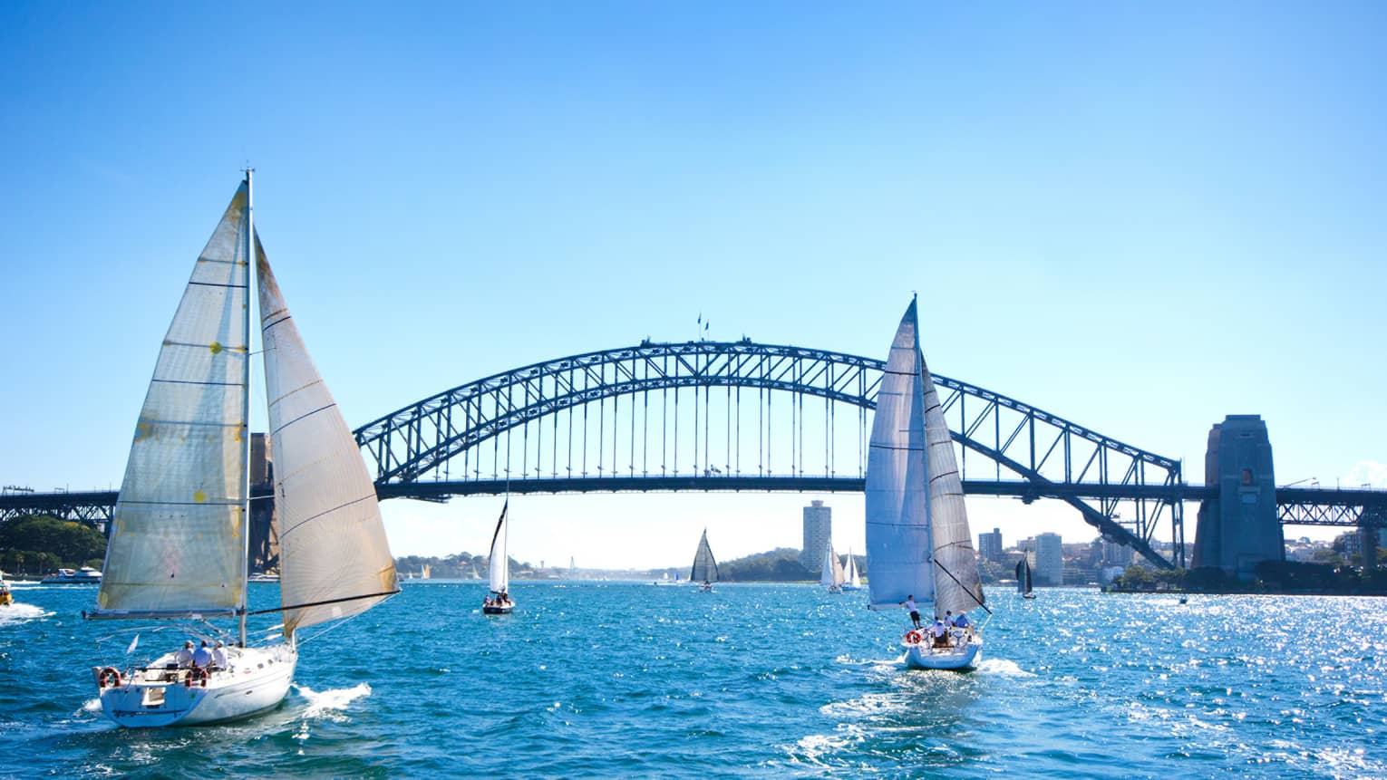 White sailboats, bridge in Sydney Harbour against clear blue sky