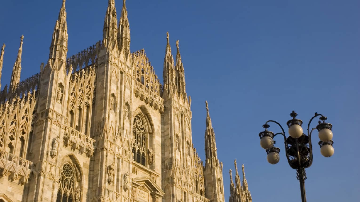 An upward view of a magnificent Gothic cathedral in the afternoon sun. The roof has hundreds of crosses on arches.