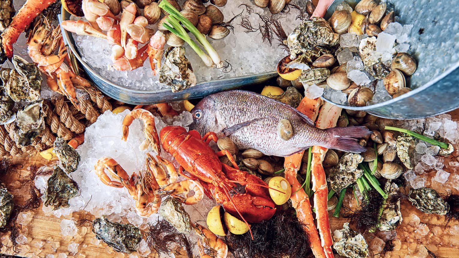 Aerial view seafood platter with whole fish, lobsters, clams and shrimps on bed of ice cubes