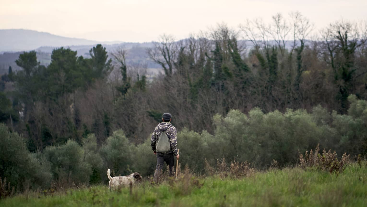 A person is walking through the brush with their dog; hills and forests can be seen in the distance, on an overcast day.