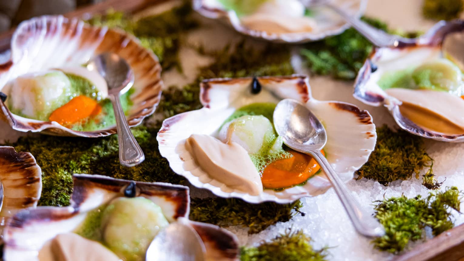 A person holds a serving tray of scallop shell-shaped plates of food set on a bed of ice.