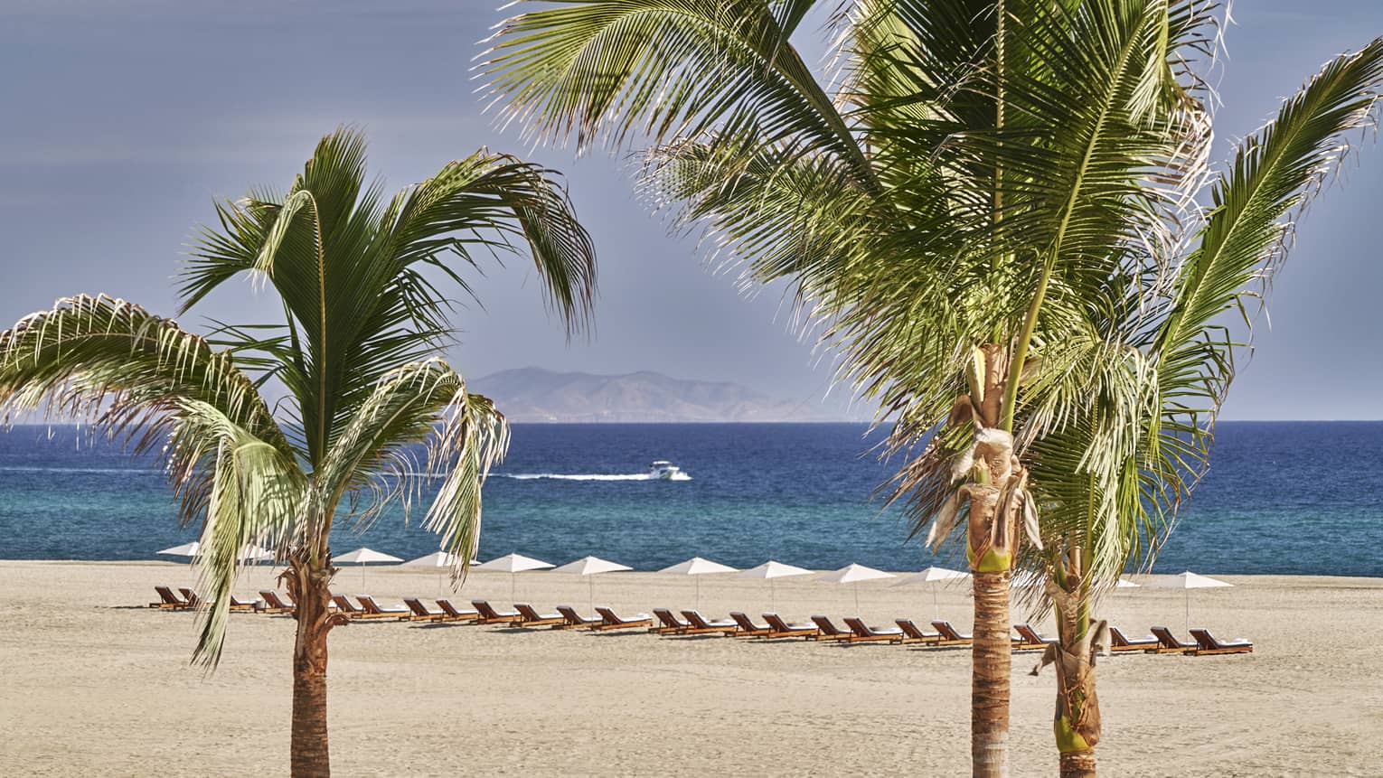 A row of luxury lounge chairs and white umbrellas on a private stretch of white-sand beach