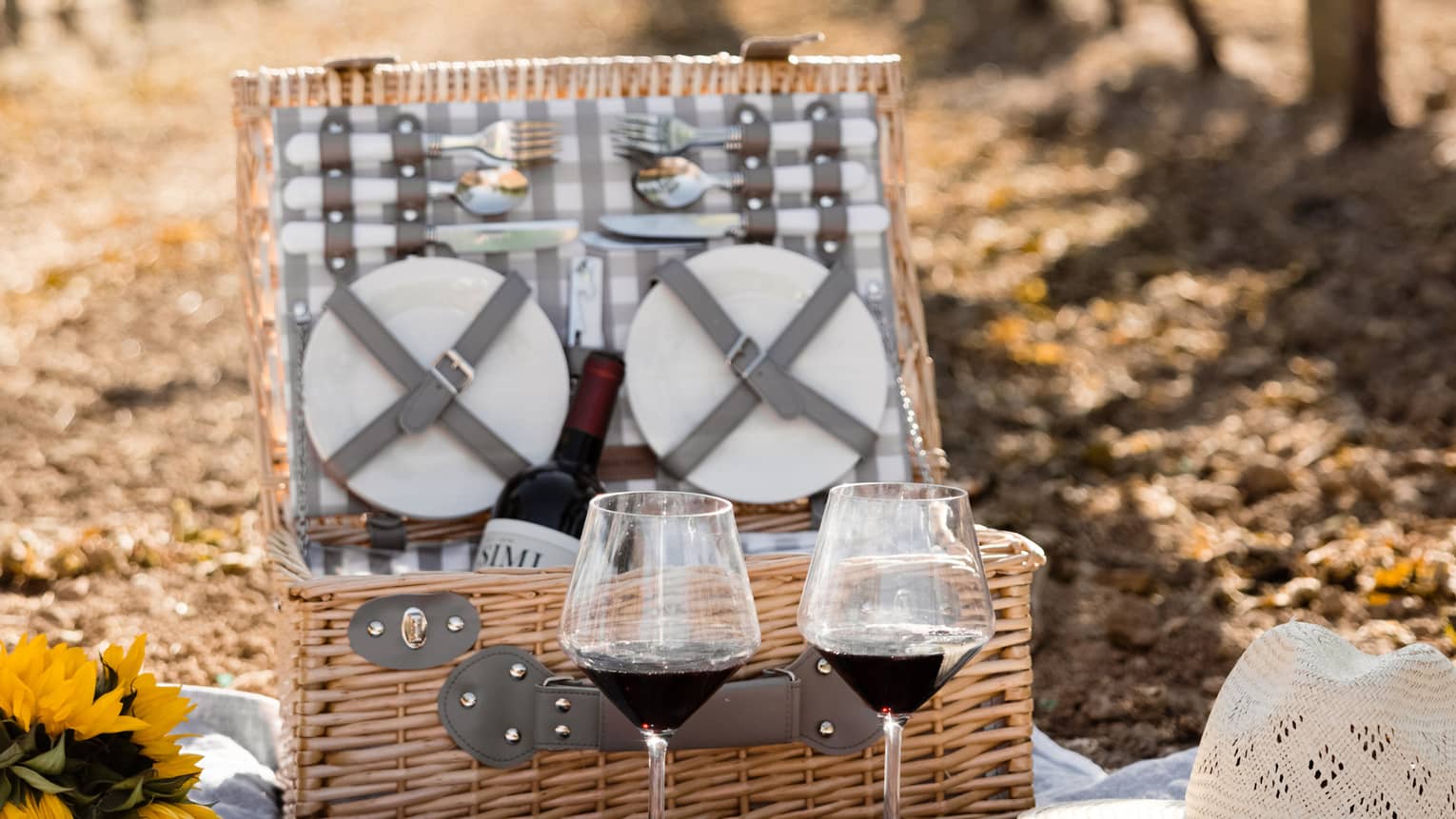 An open wicker picnic basket, two glasses of red wine and a baguette sit on a white blanket among rows of glowing vines.