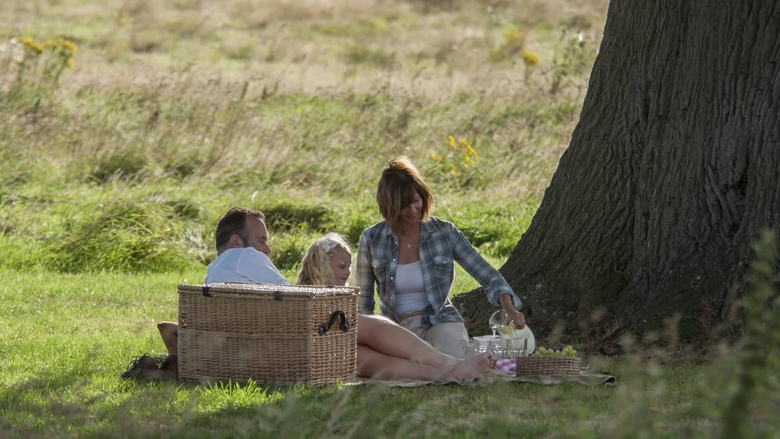 A young couple picnics under a large oak tree