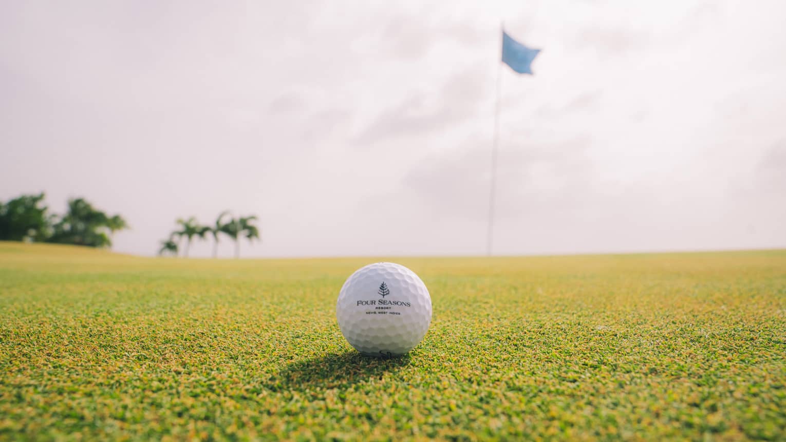 A close-up of a golf ball on a golf course green, with a flag in the background, as well as far off trees and a bright cloudy sky