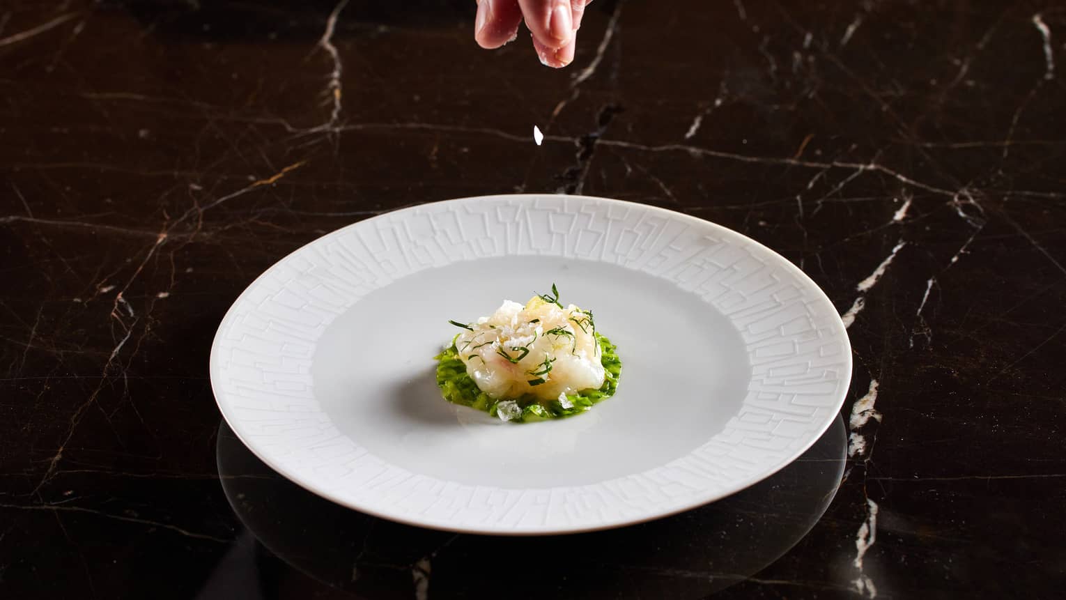White plate, contemporary seafood dish