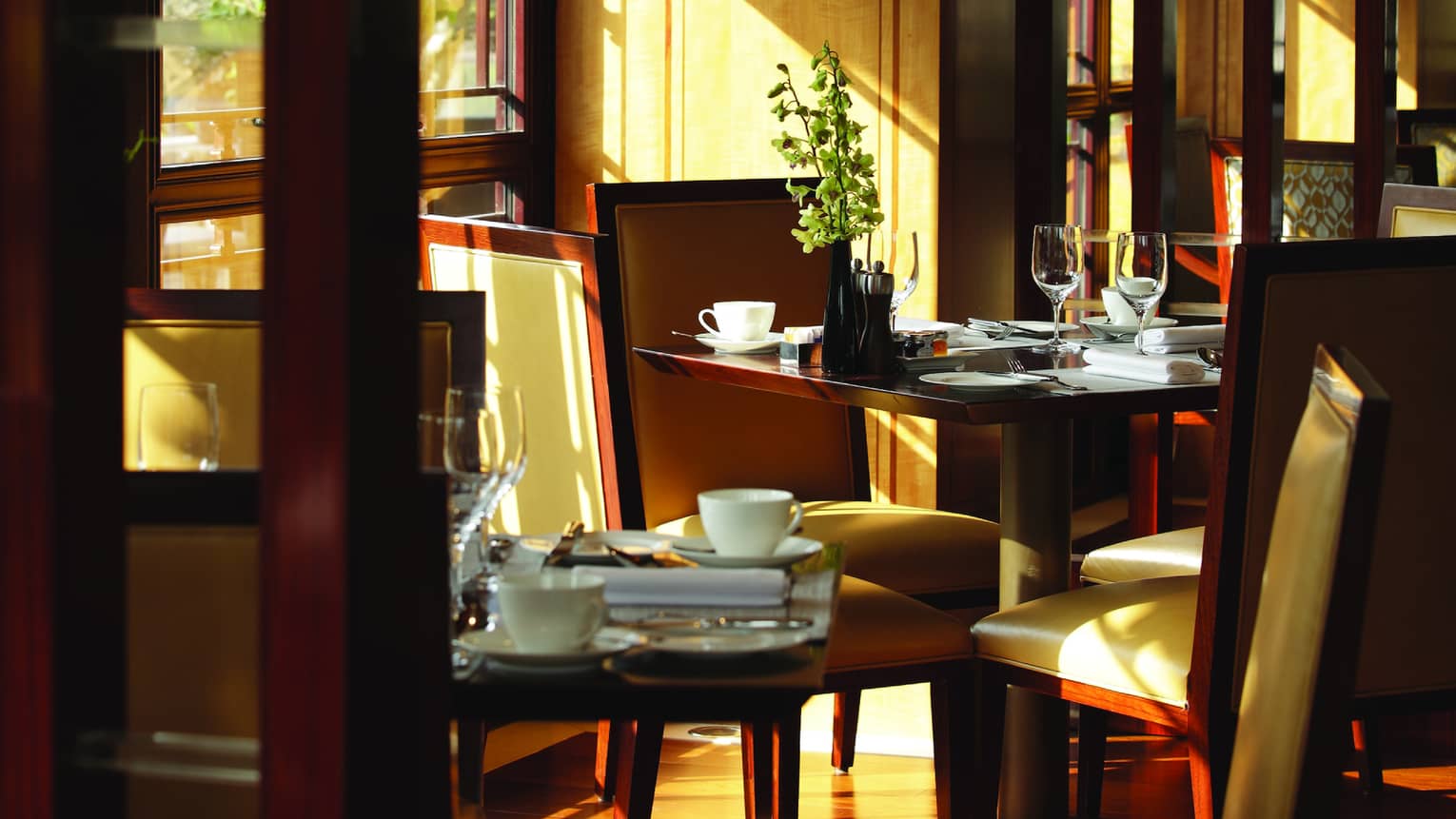 Interior of restaurant with square tables and sunlight streaming through the curtainless windows
