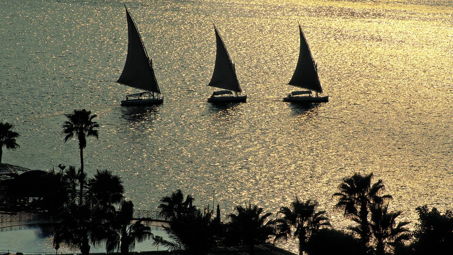 Silhouettes of three traditional felucca wooden sailboats on the Nile river at sunset