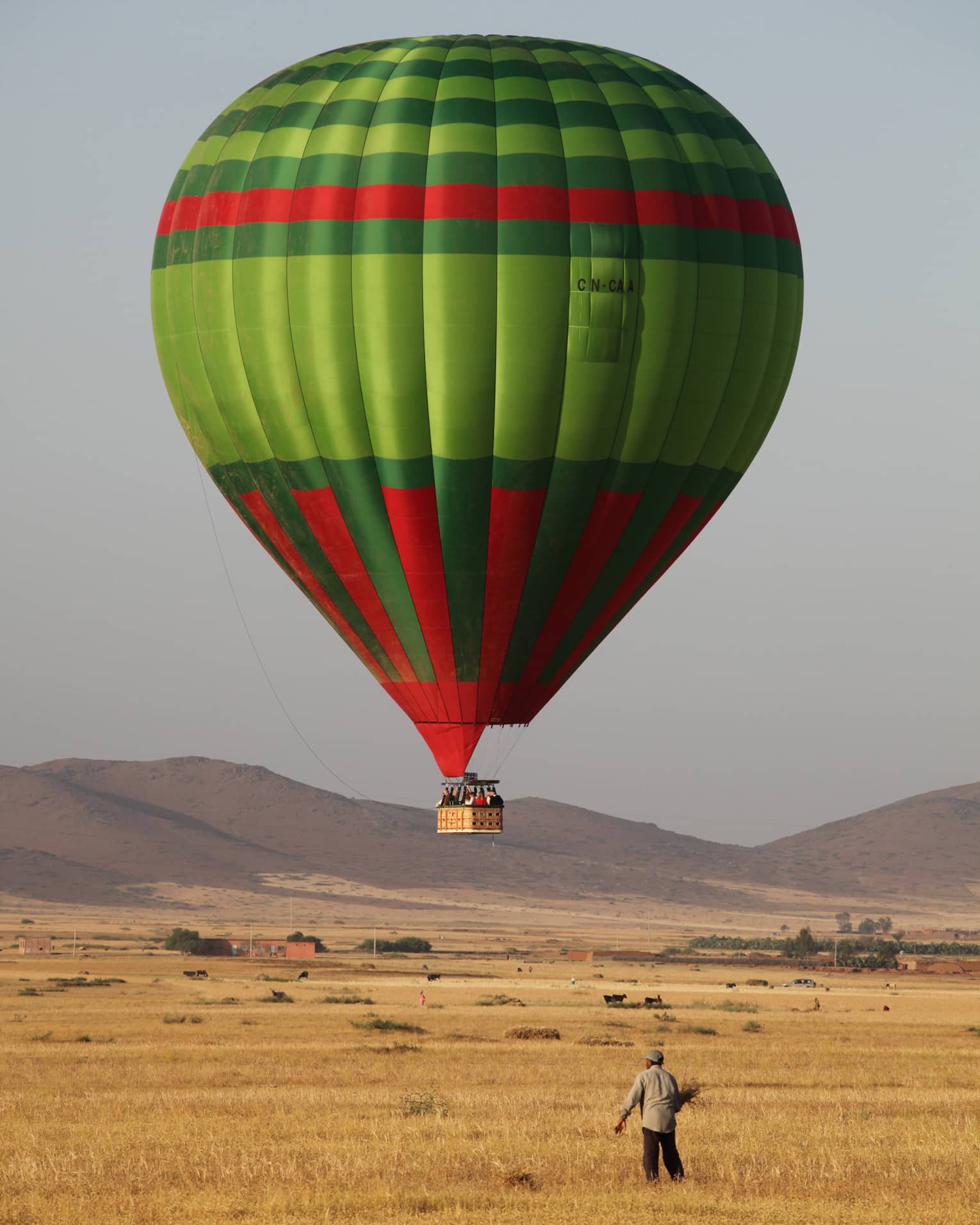 Man stands in field under large green and red hot air balloon 
