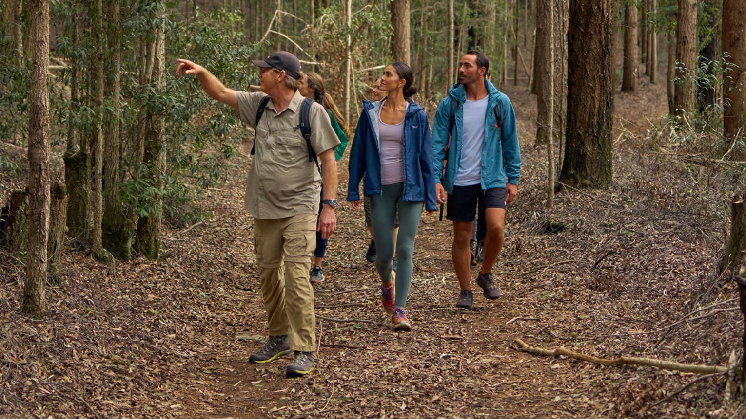 Led by a guide, a group of nature enthusiasts strolls through the forest amid towering trees with tall, slender trunks.