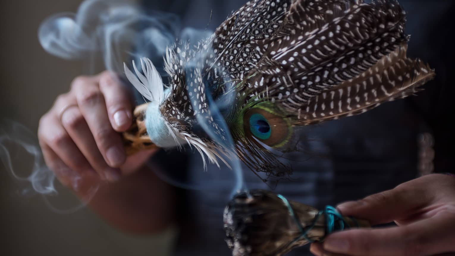 Close-up of smoke rising from sage, feathers used for smudging ceremony