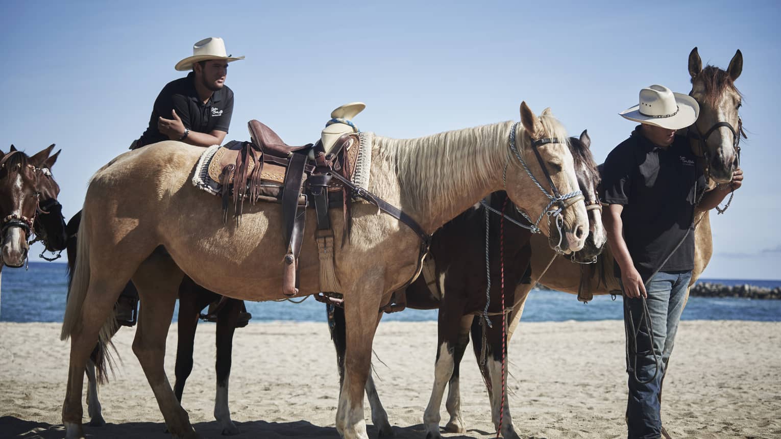 Two horsemen donning white cowboy hats lead a group of brown and white horses along a sandy beach under a clear blue sky.