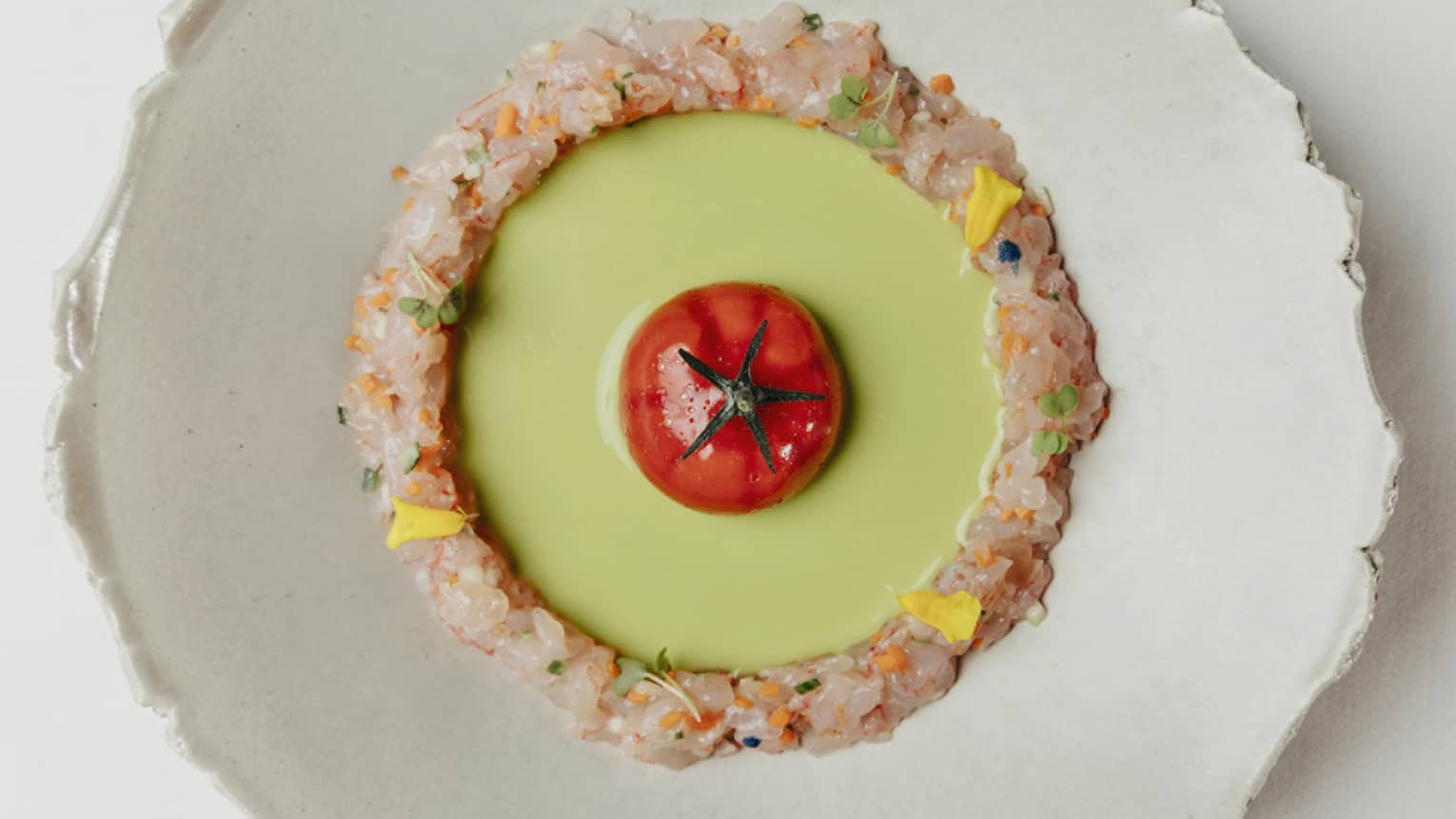 Aerial view of tomato in sauce with ring of chopped fish