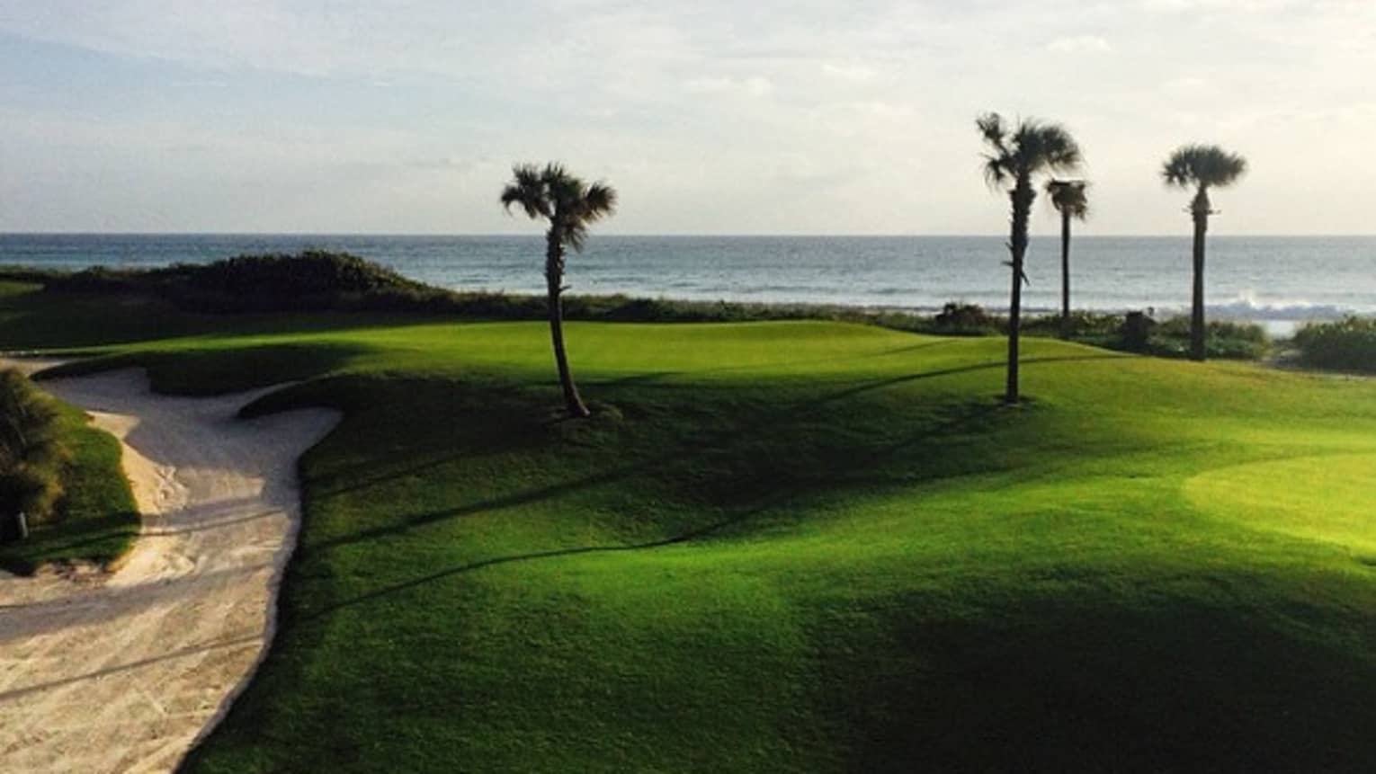 Sprawling green golf course with four palm trees by ocean