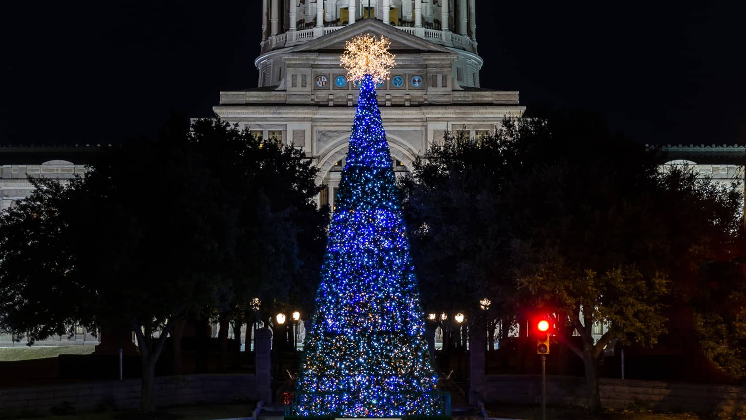 A blue lit Christmas tree in front of a capital building at night.