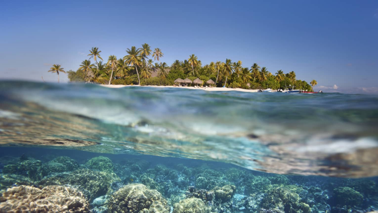 View of resort from half underwater Ruahatu Lagoon island and palms on top and coral reef below