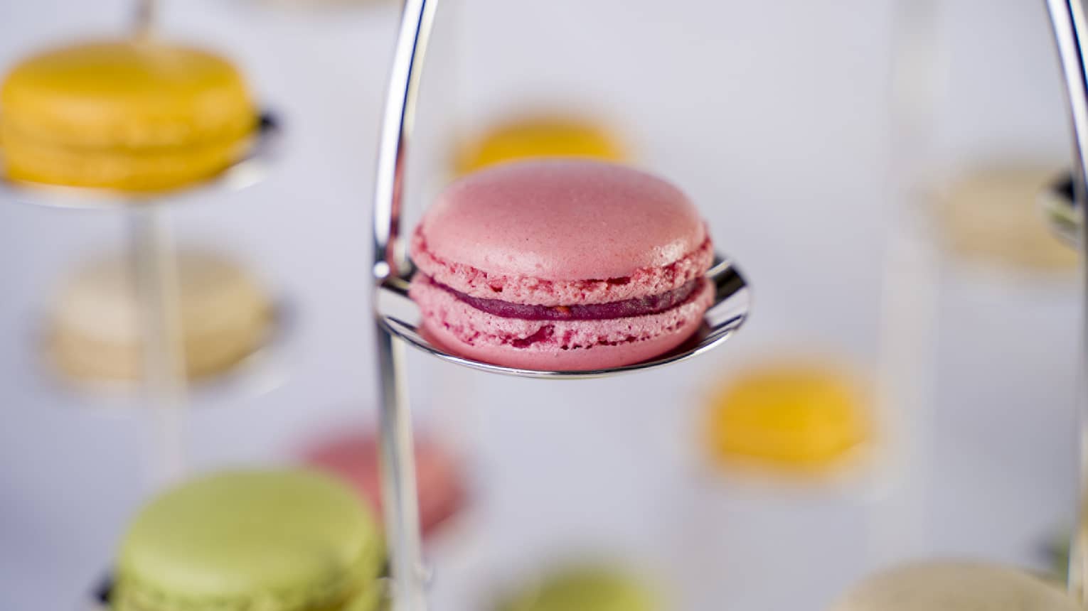 A rosy pink, glossy macaron sits daintily on a small metal platform, with other macaron-occupied platforms in the background.