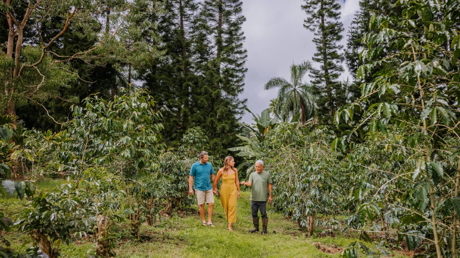 Man gives couple a tour of Koa Koffee Farm