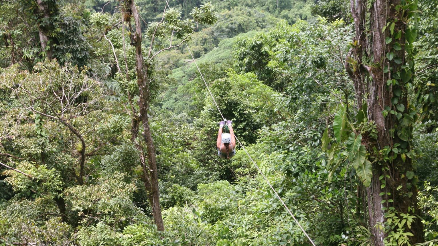 Aerial view of a person zip-lining through dense forest. Gripping the handlebars, the adventurer soars above towering trees.