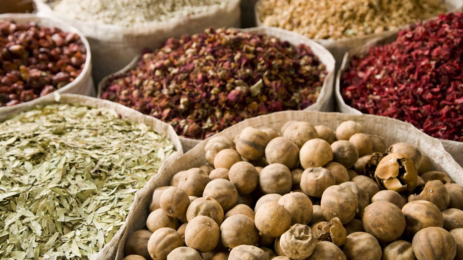 Several bowls filled with nuts, spices and herbs. 