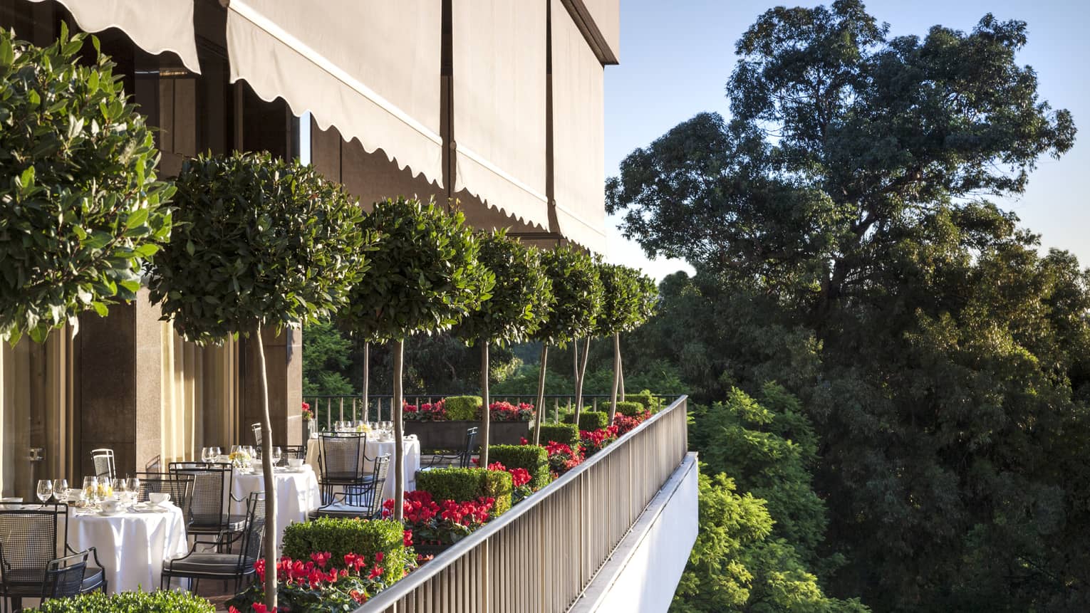 Veranda Terrace Side view of patio dining tables, potted trees 