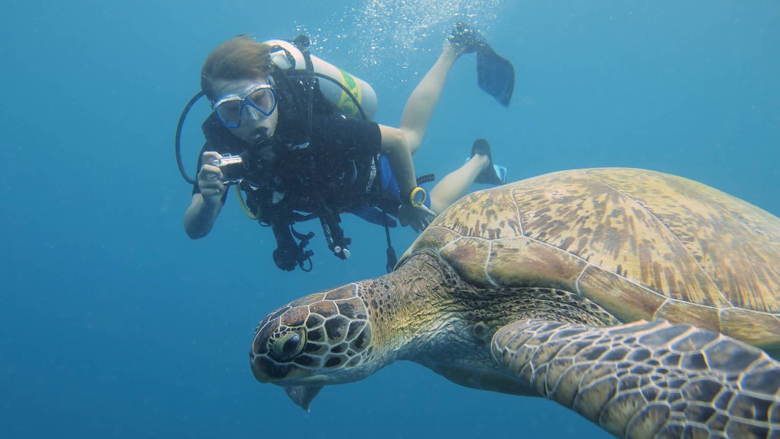 Scuba diver with underwater camera takes photo of large turtle