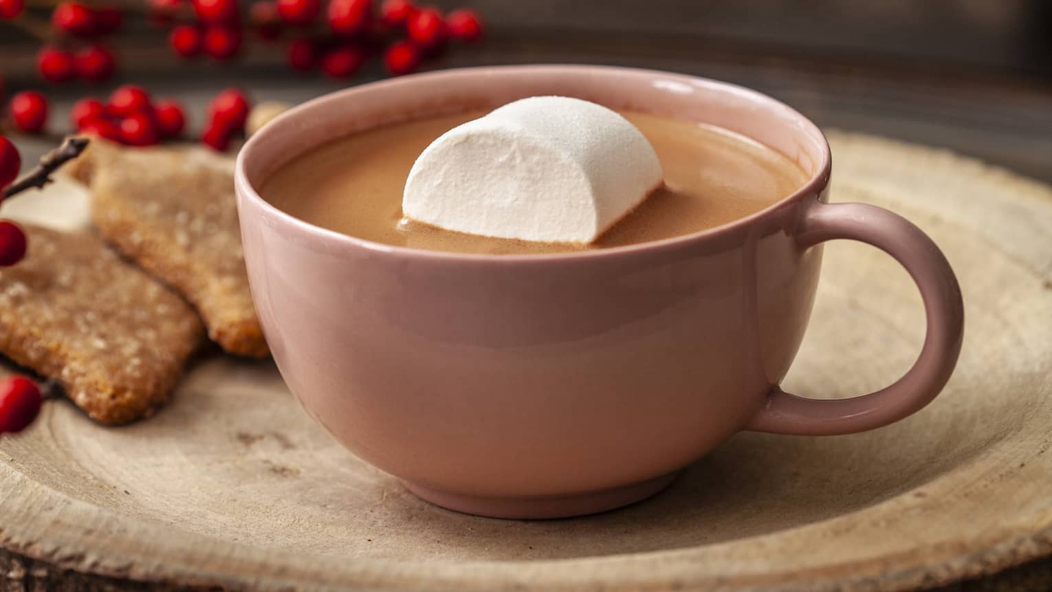 A mug of hot chocolate with a marshmallow in it