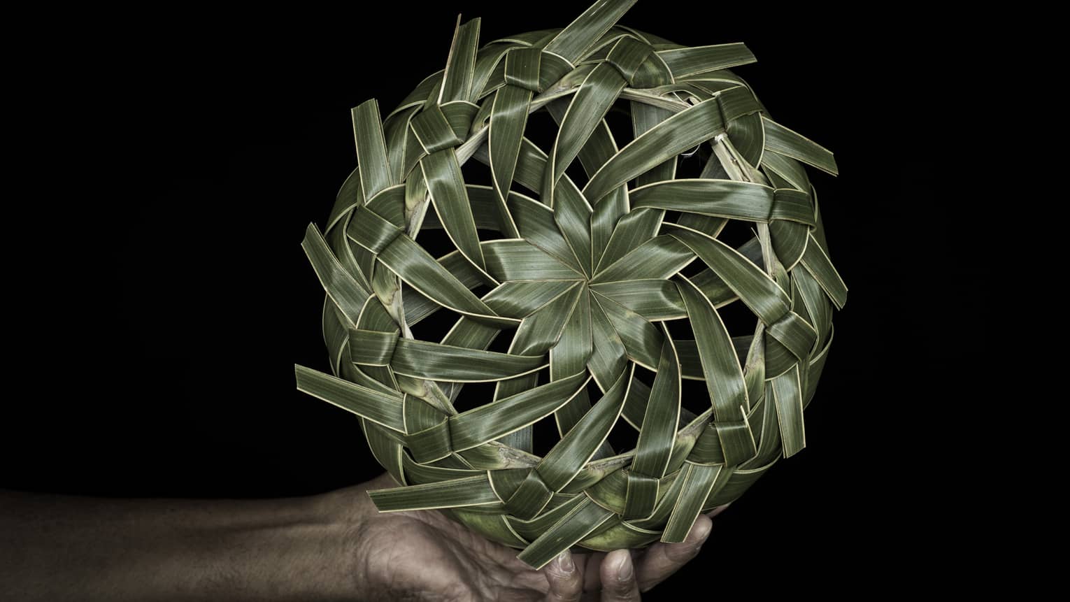 A hand holding a spinning wheel of palm fronds.