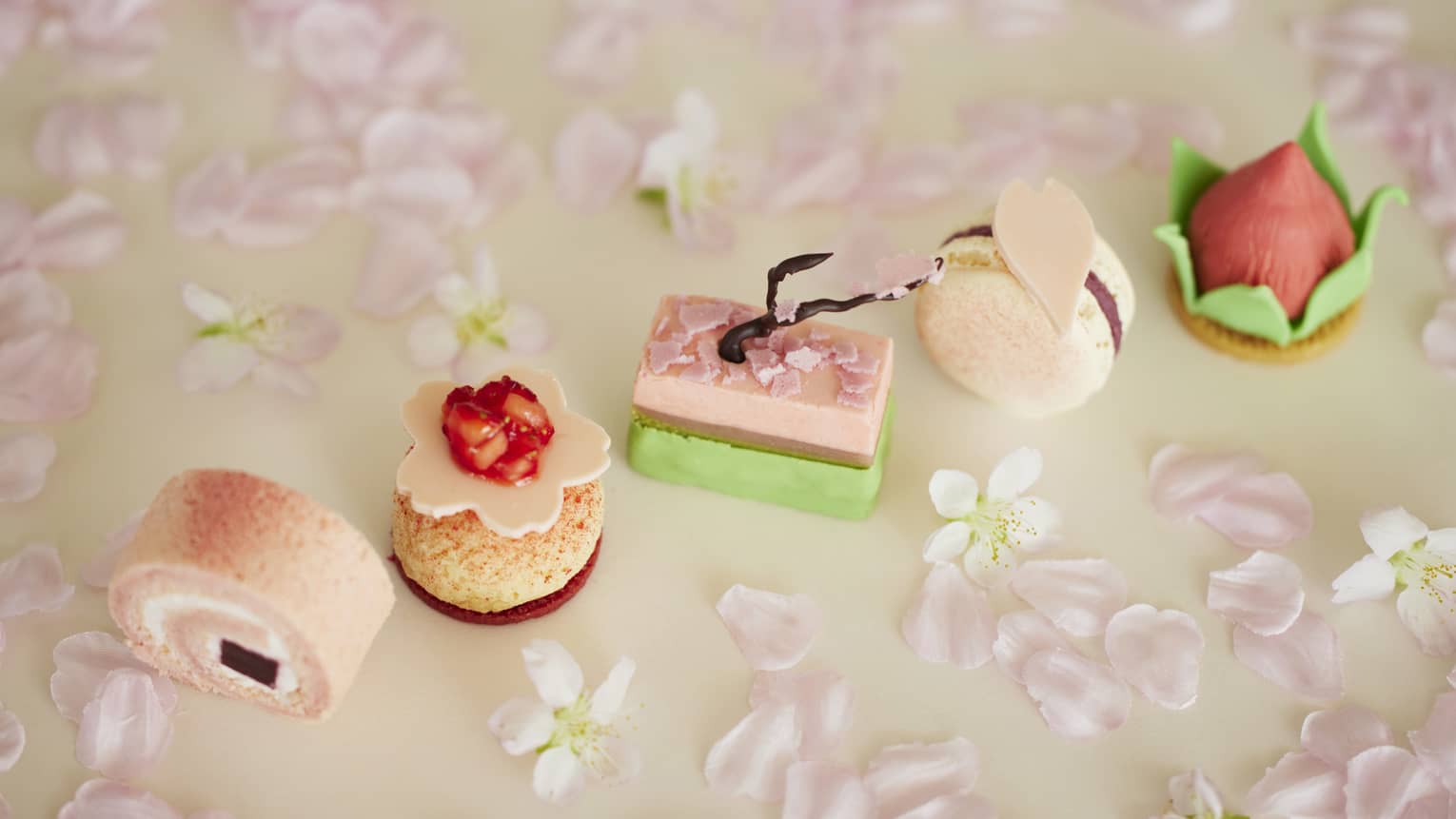 Row of Afternoon Tea sakura-themed sweets surrounded by cherry blossom petals