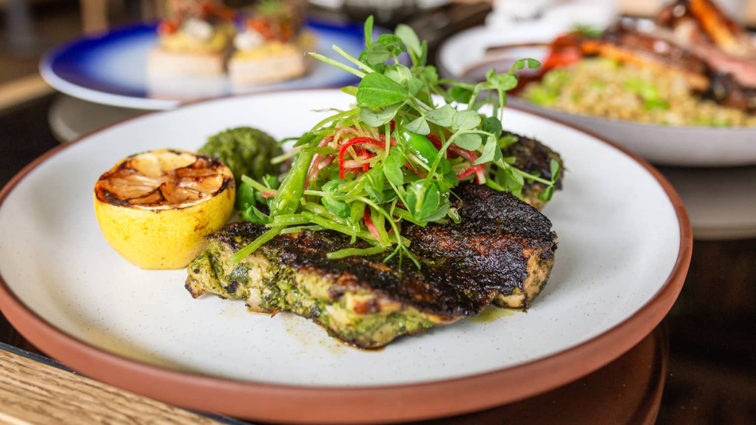 A round white plate holding pieces of grilled meat garnished with greens and grilled lemon
