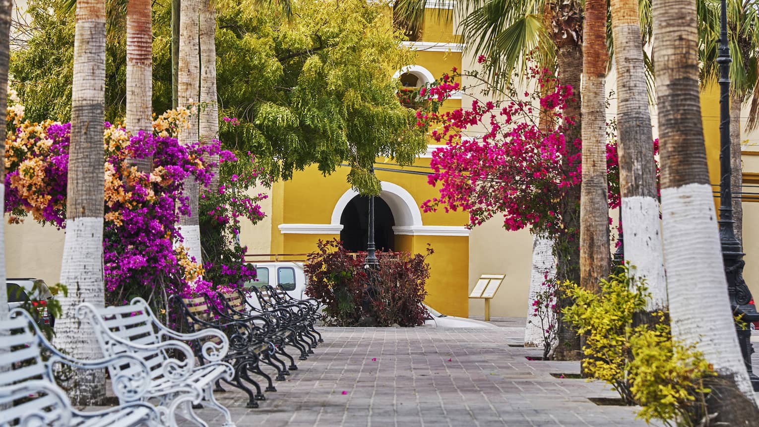 A tiled walkway lined with palm trees, bougainvillea flowers and wrought iron benches leads to a brightly coloured gatehouse.