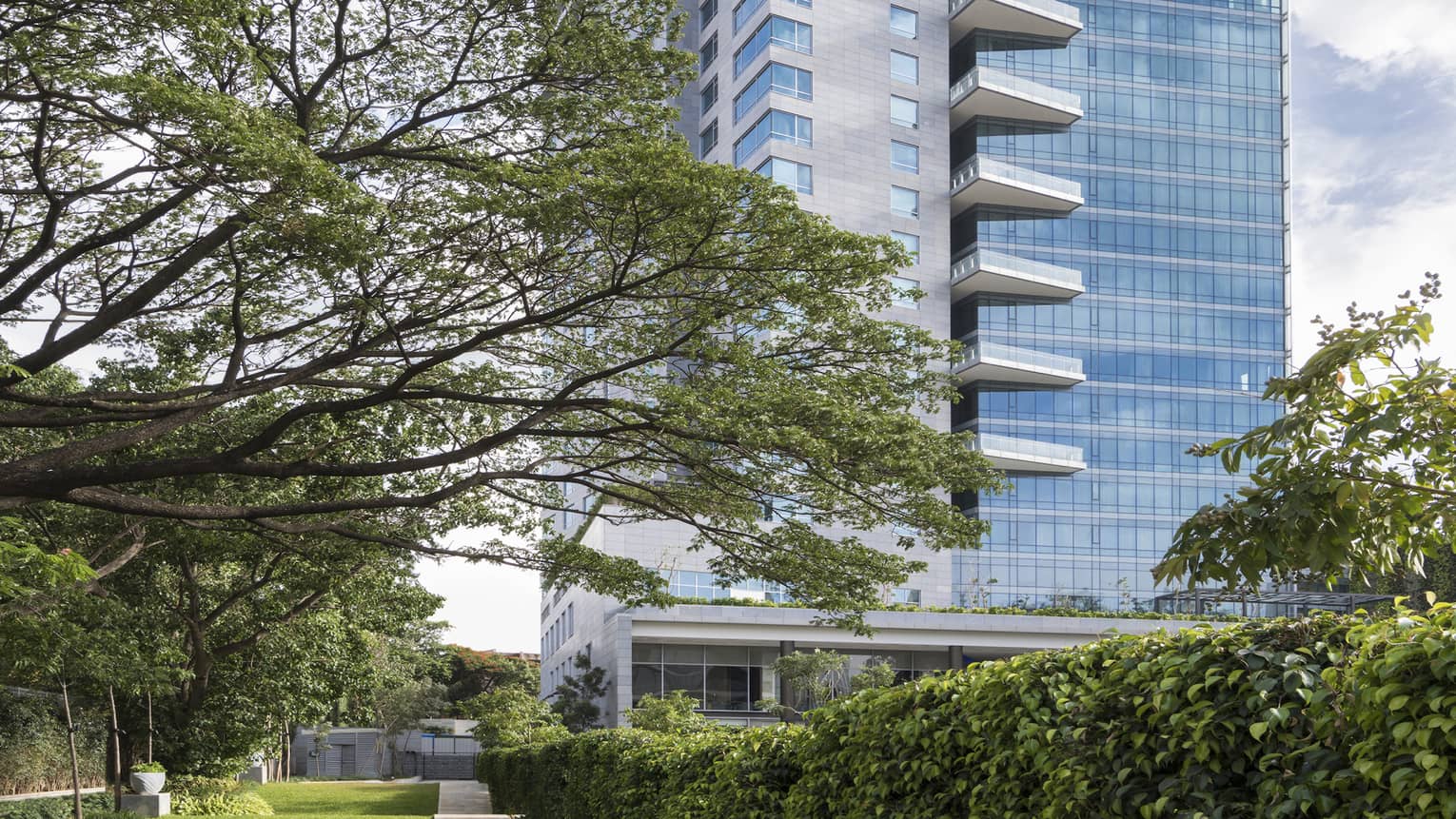 Tall glass building behind lawn with large tree, shrubs