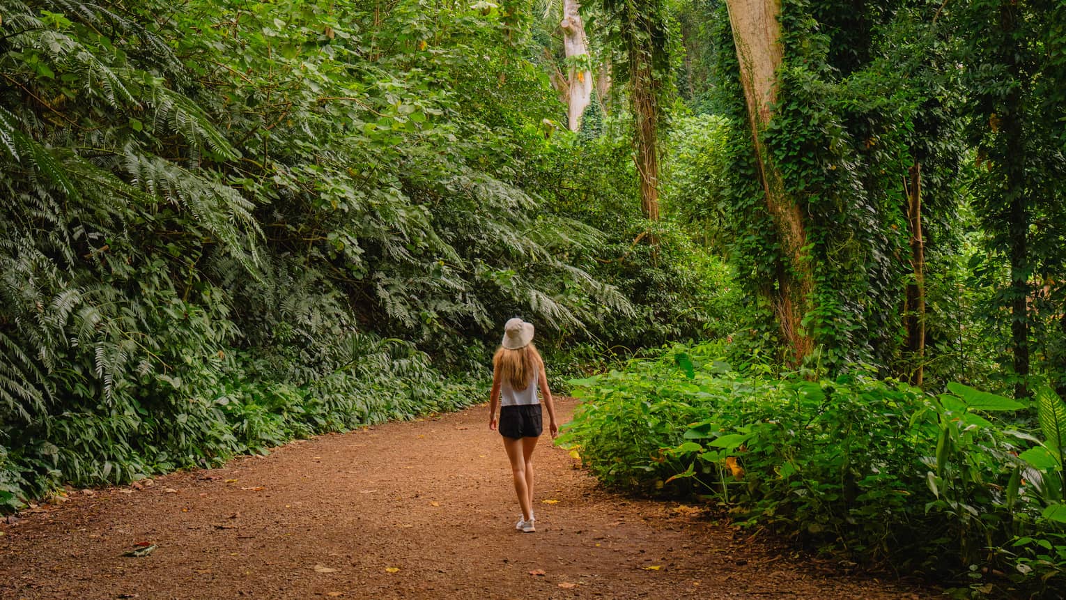 A woman walks through tropical rainforest on path