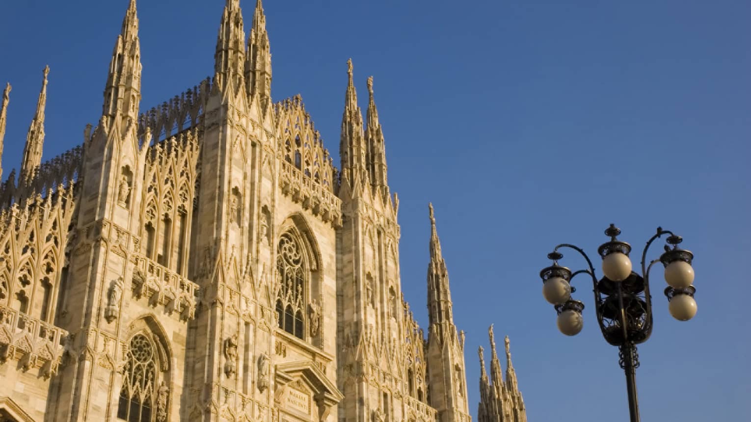 An upward view of a magnificent Gothic cathedral in the afternoon sun. The roof has hundreds of crosses on arches.