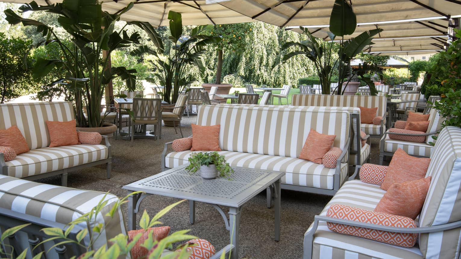 An outdoor sitting area with sofas, plants and tables.