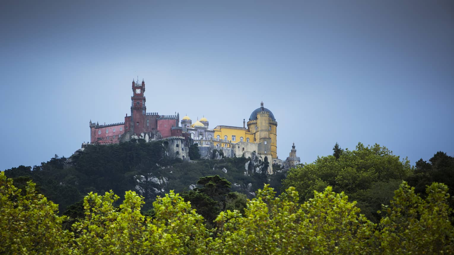 Yellow and pink ornate buildings in the distance are peaking above a teeline in Lisbon. 