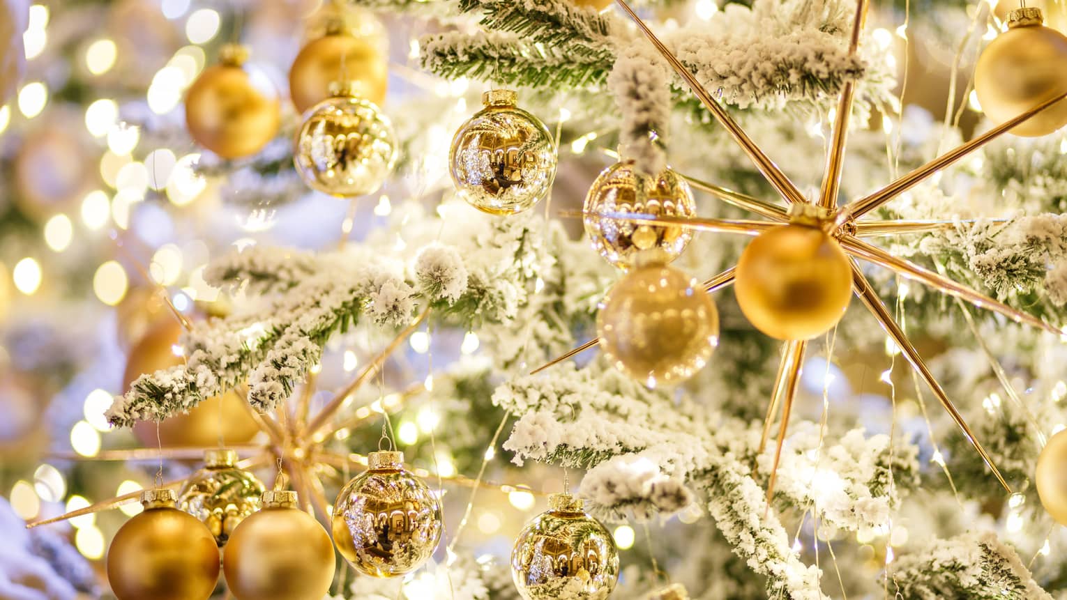 Several golden ornaments on a snow covered Christmas tree. 