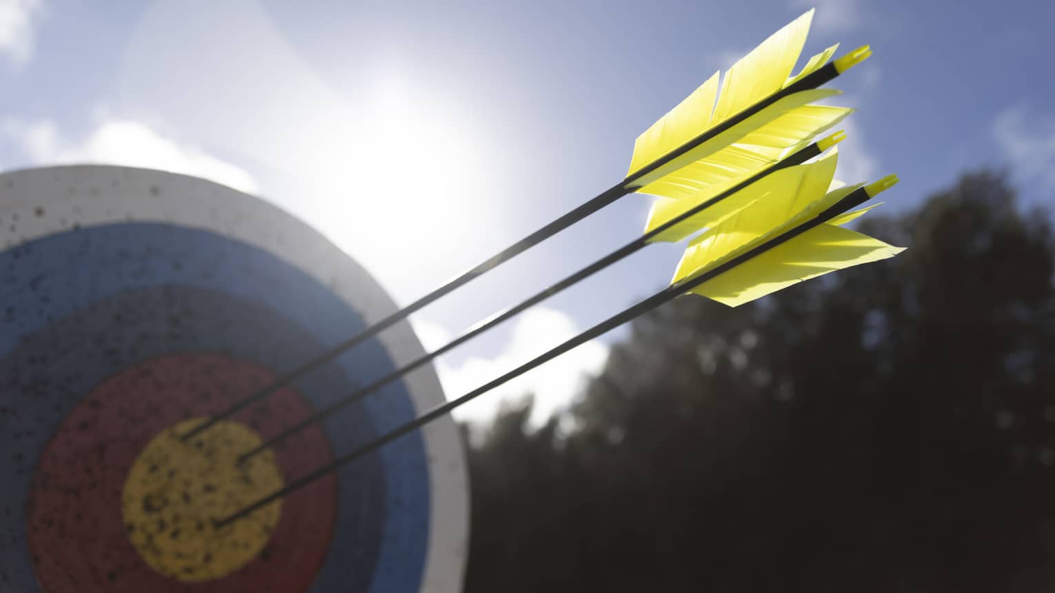 A close-up of yellow feathered arrows that had struck the bull’s eye of a heavily used ringed archery target on a sunny day.