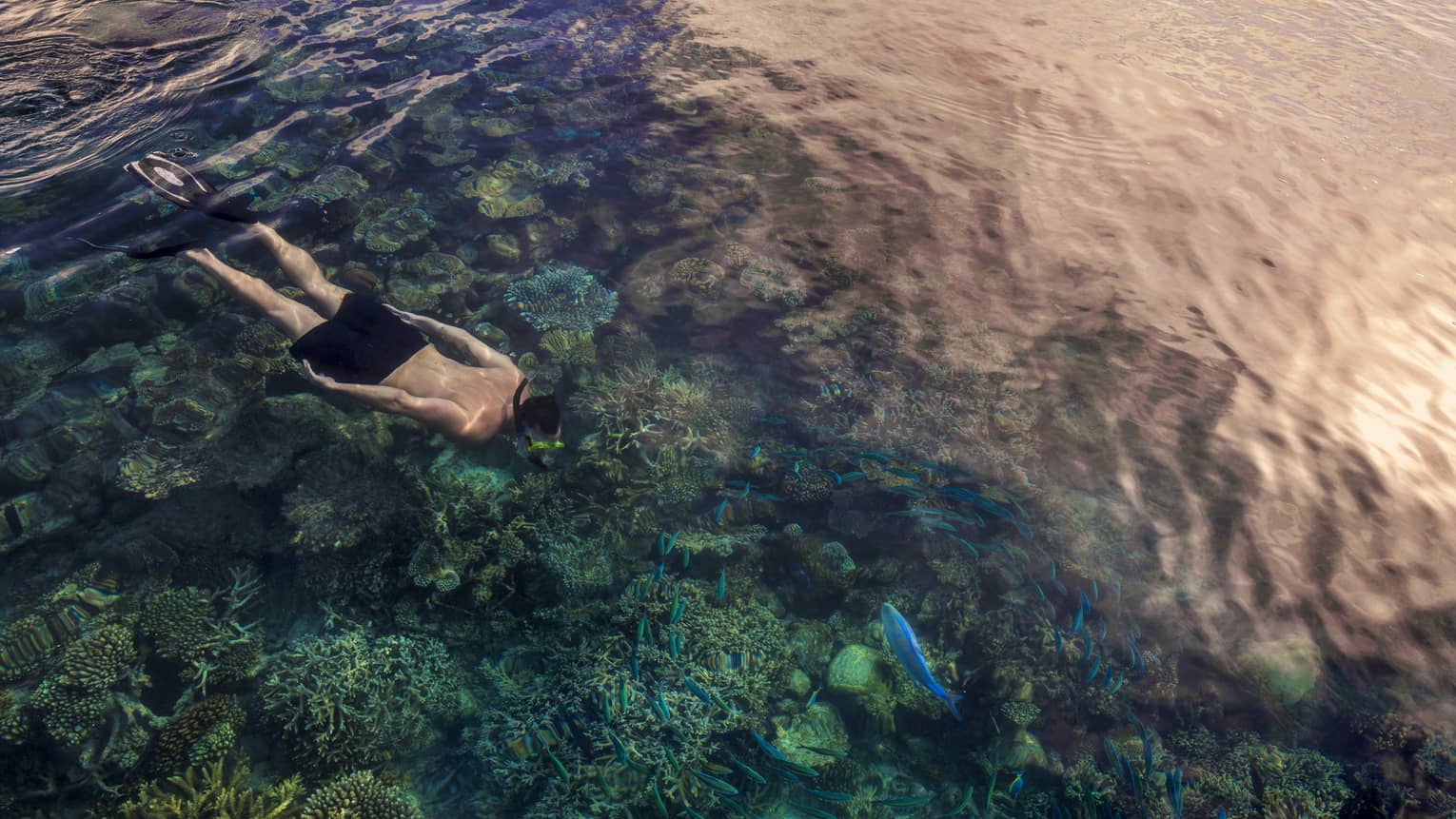 Aerial view of man snorkelling over colourful lagoon in Maldives